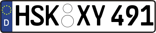 HSK-XY491