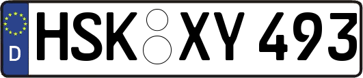 HSK-XY493