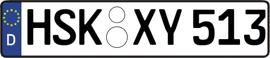 HSK-XY513