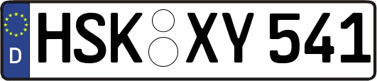 HSK-XY541