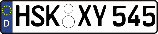 HSK-XY545