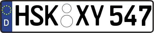 HSK-XY547