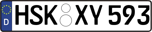 HSK-XY593