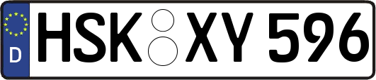 HSK-XY596