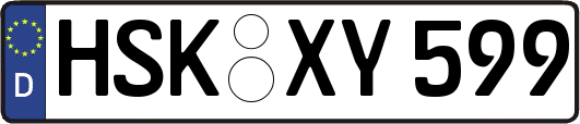HSK-XY599