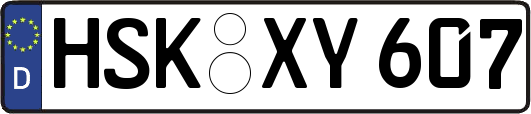 HSK-XY607