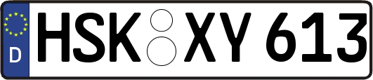 HSK-XY613