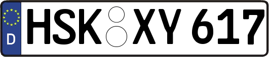 HSK-XY617