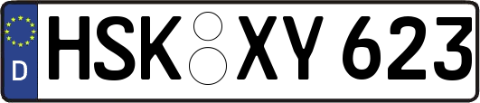 HSK-XY623