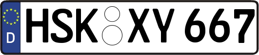 HSK-XY667