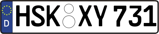 HSK-XY731