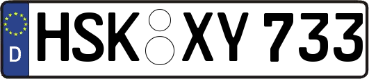HSK-XY733