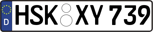 HSK-XY739