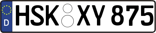 HSK-XY875