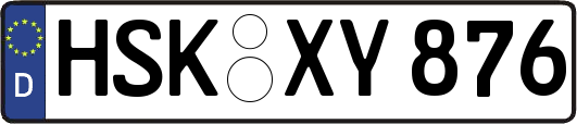 HSK-XY876