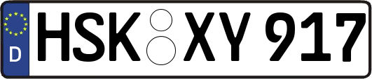 HSK-XY917