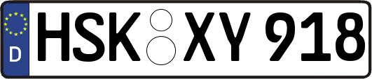 HSK-XY918