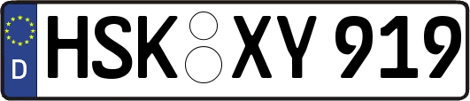 HSK-XY919