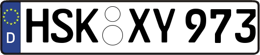 HSK-XY973