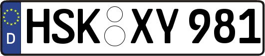 HSK-XY981