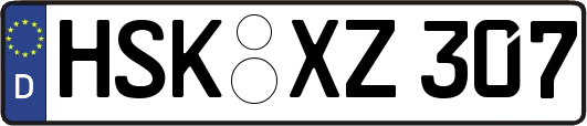 HSK-XZ307