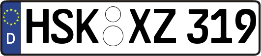HSK-XZ319