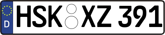 HSK-XZ391