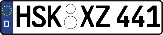 HSK-XZ441