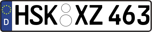 HSK-XZ463