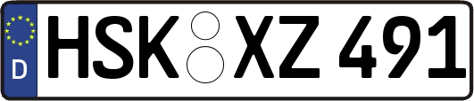 HSK-XZ491