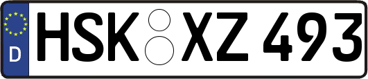 HSK-XZ493