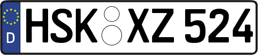 HSK-XZ524