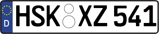 HSK-XZ541