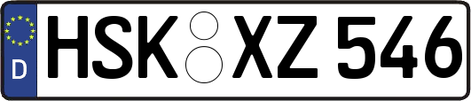 HSK-XZ546