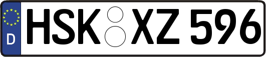 HSK-XZ596