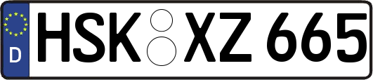 HSK-XZ665