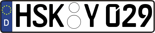 HSK-Y029