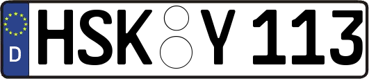 HSK-Y113
