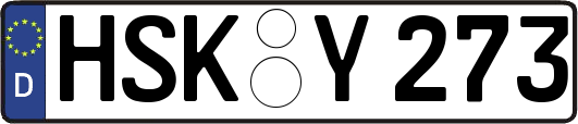 HSK-Y273