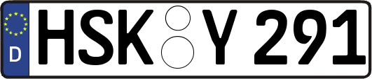 HSK-Y291