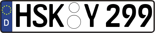 HSK-Y299