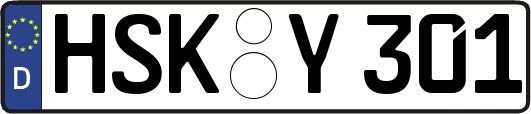 HSK-Y301