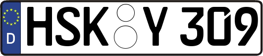 HSK-Y309