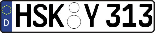 HSK-Y313