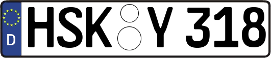 HSK-Y318