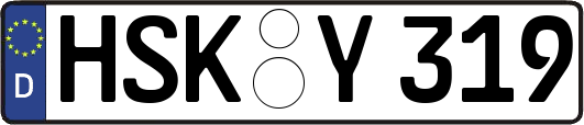 HSK-Y319