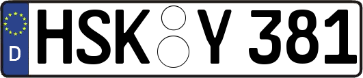 HSK-Y381