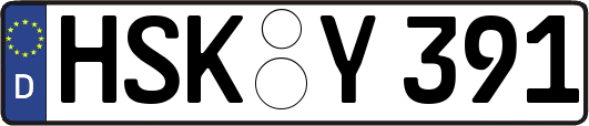 HSK-Y391
