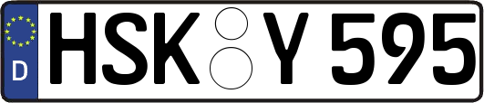 HSK-Y595