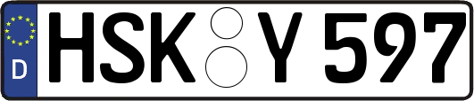 HSK-Y597